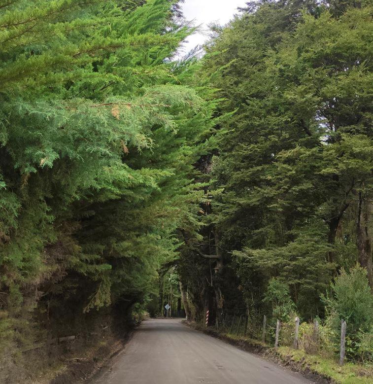 Cabana Ensenada, Puerto Varas - 1 Ambiente Exteriör bild